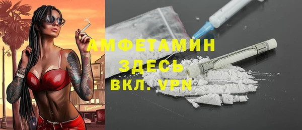 молекула духа Алексеевка