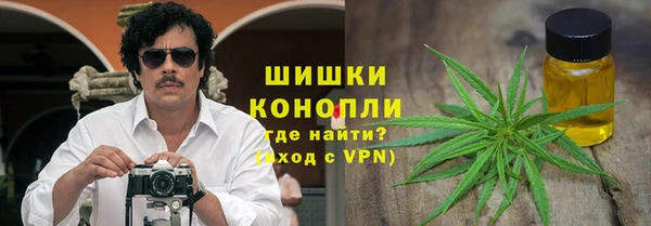 шишки Алзамай