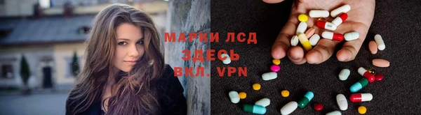 шишки Алзамай