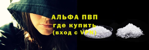 стаф Абинск