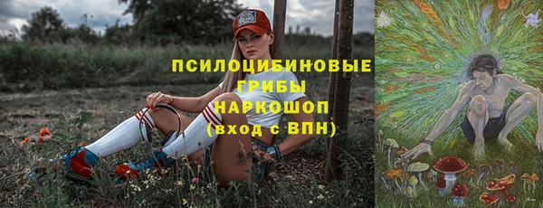 тгк Абаза