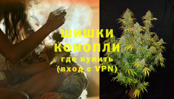 шишки Алзамай