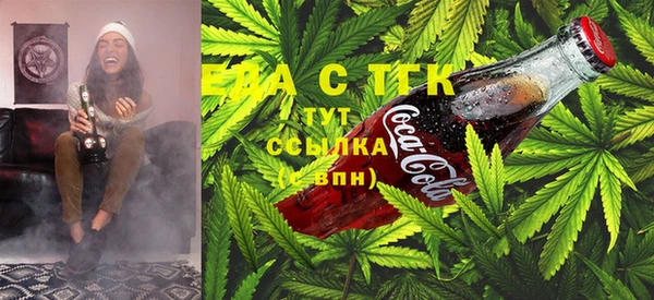 тгк Абаза