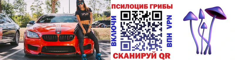 omg как зайти Псков Псилоцибиновые грибы Magic Shrooms